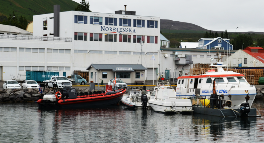 Diving programmes and guest services