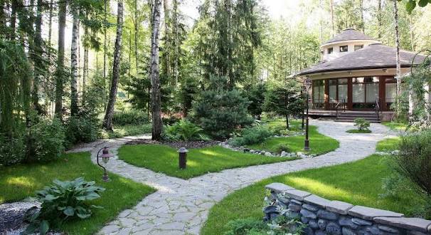 Chicken VerdantPlot landscape design and planting studio