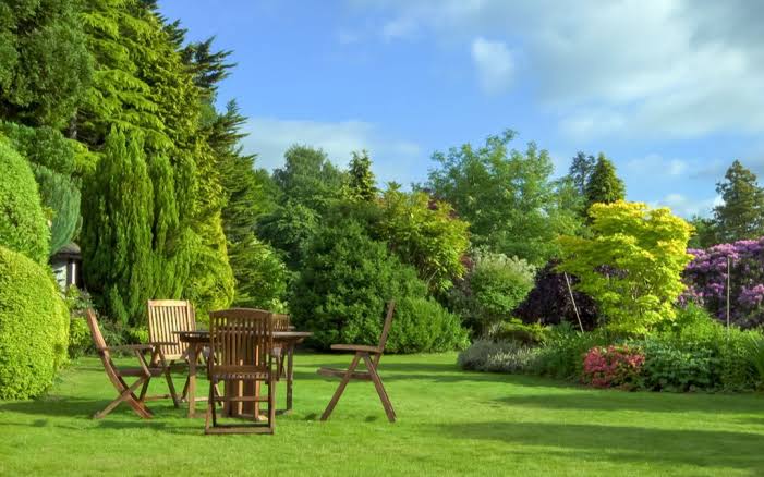 Garden landscaping and outdoor living area