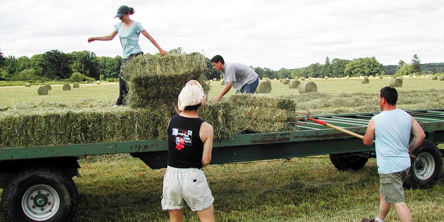 Harvested organic produce prepared for sustainable farm-to-market distribution